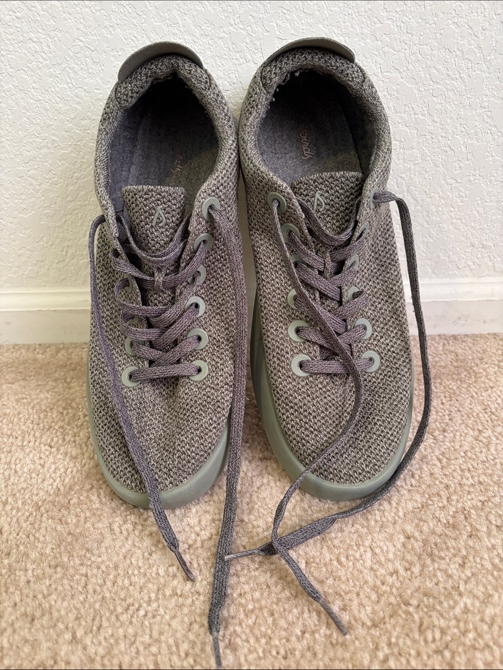 allbirds Men’s Bamboo shoes sage green/gray